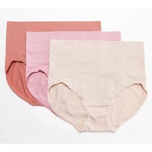 455 Breezies Seamless Wide Band Brief Panty Set of 3 SPICE sz M